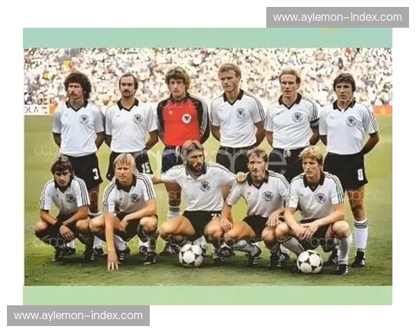 2014年世界杯回顾与各参赛球队最终排名全解析